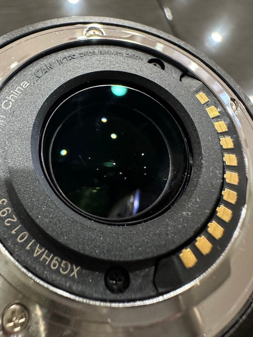 LEICA DG VARIO-ELMAR パナソニック　H-RS100400