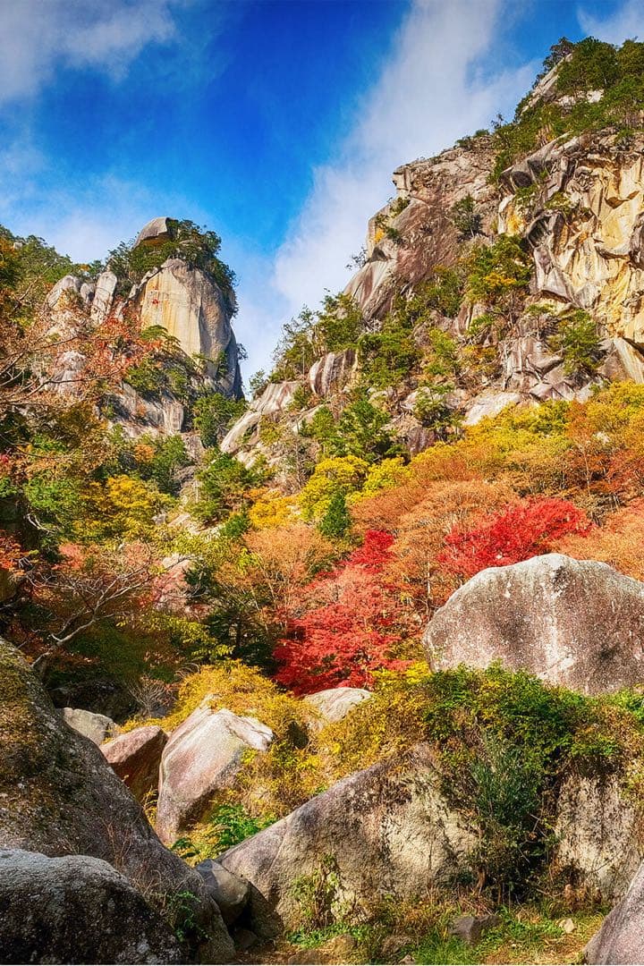 ご成約済　現代に蘇った伝説の国産水晶　幻の山梨乙女鉱山産ルチルクォーツBIGPT