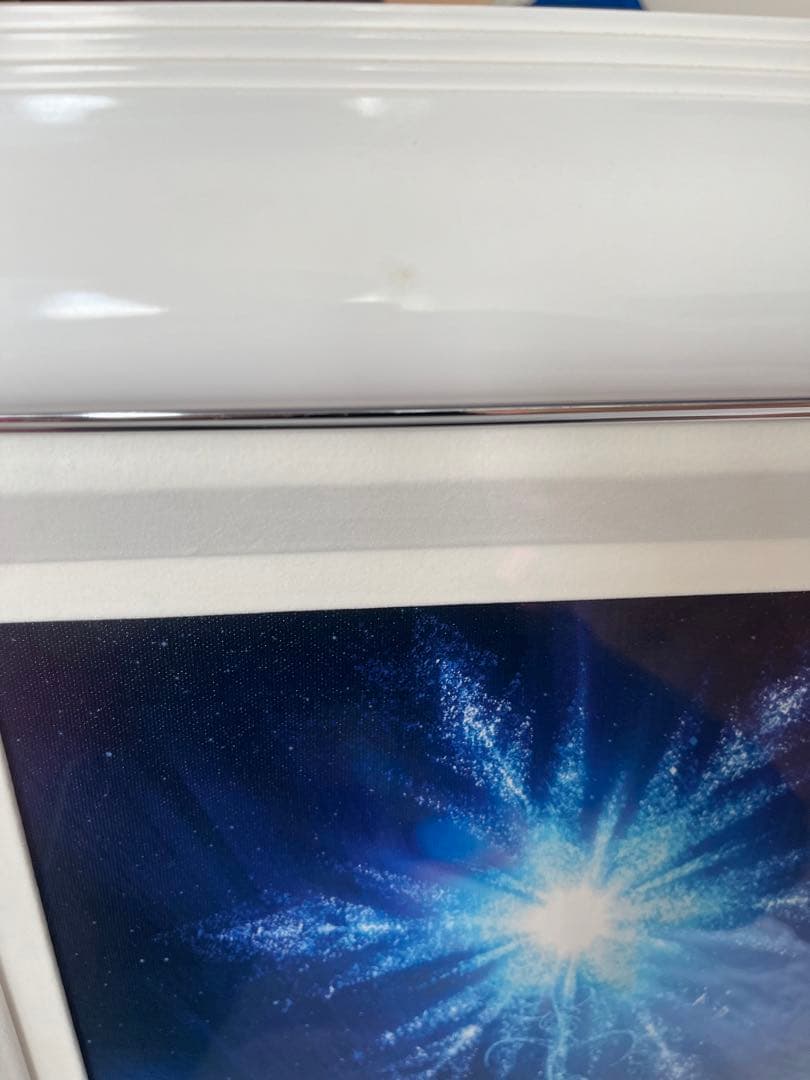 ディズニー　エルサズトランスフォーメーションJP版　ジクレ　ED195