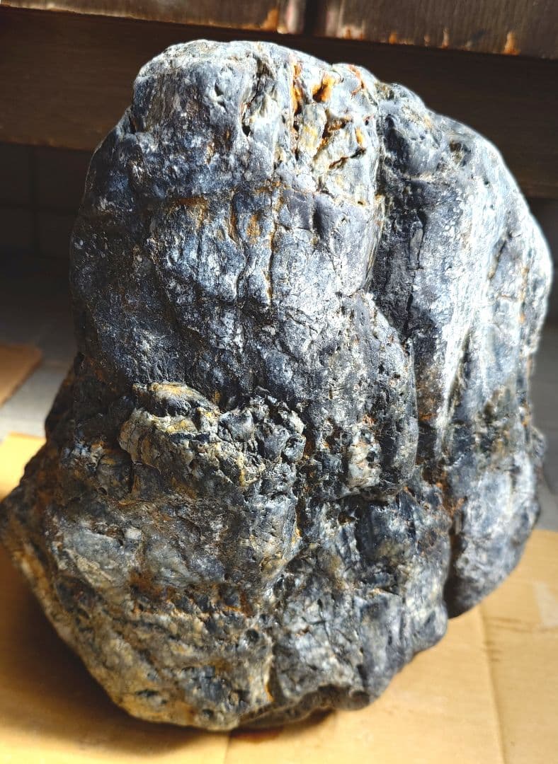 自然石　大きな珪化木！？