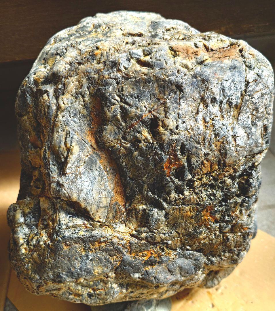 自然石　大きな珪化木！？