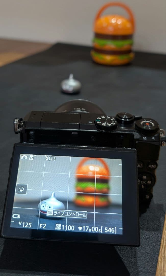 Nikon 1 J5 ダブルレンズ★春の行楽セット★