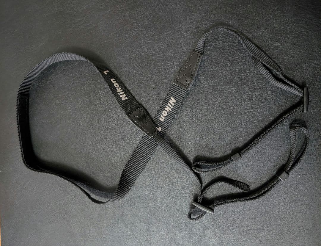 Nikon 1 J5 ダブルレンズ★春の行楽セット★