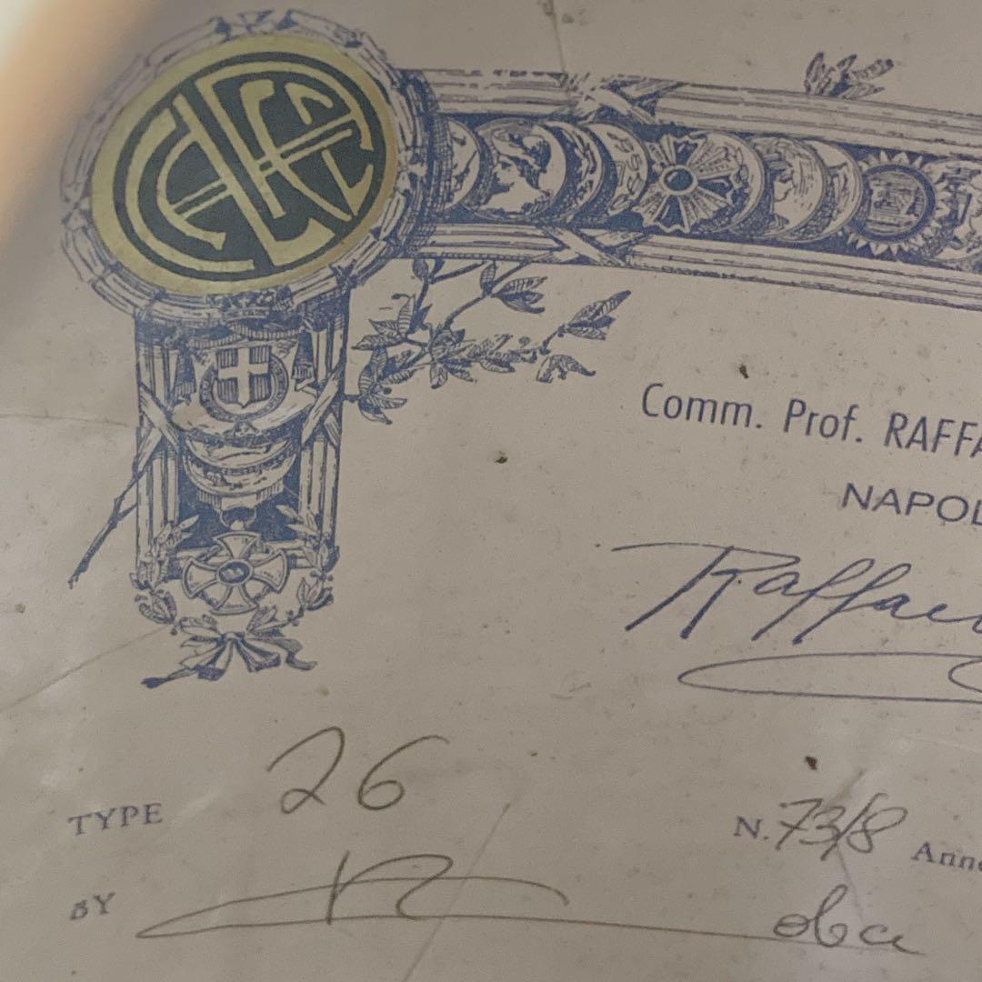 ラファエル・カラーチェ No.26 マンドリン Raffaele Calace