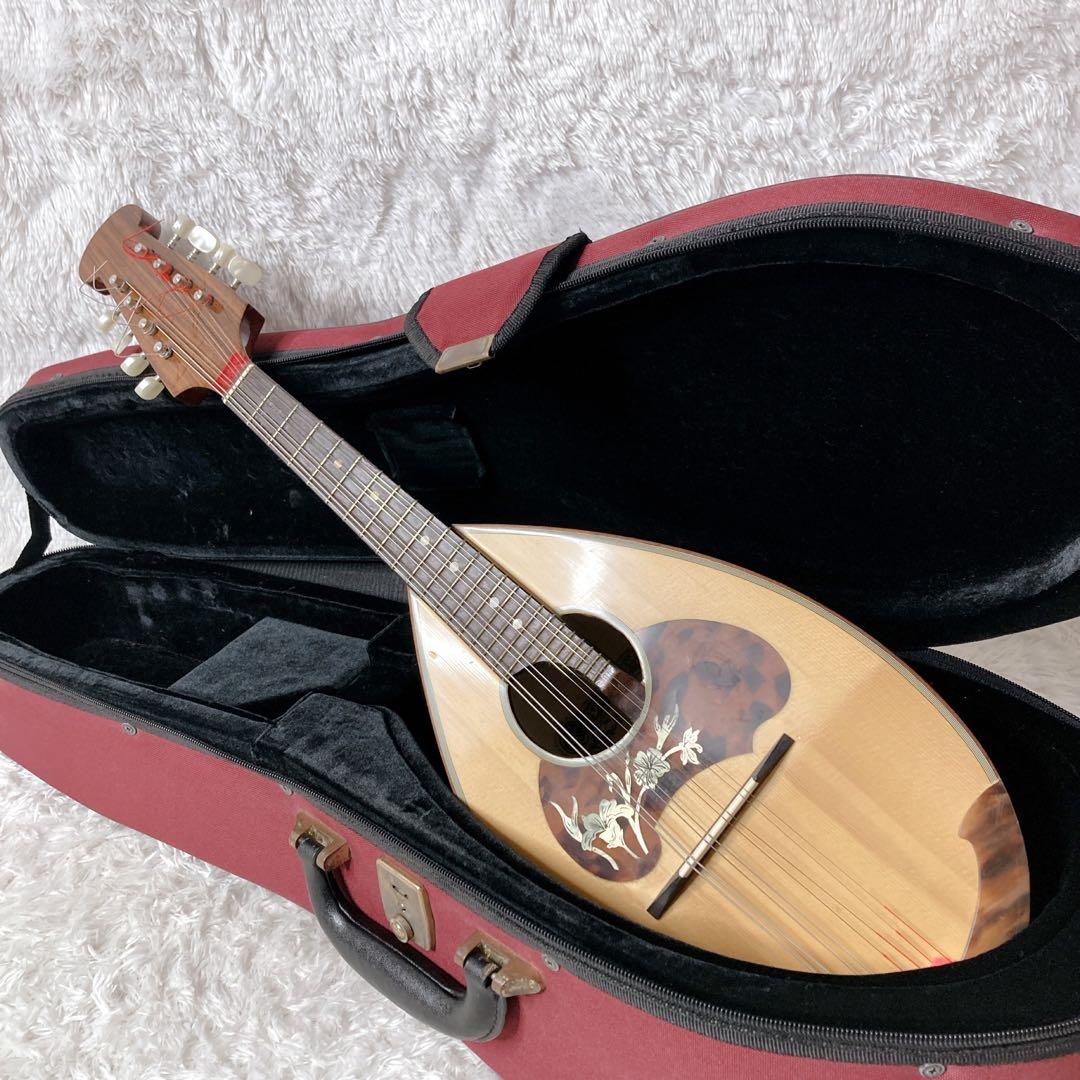 ラファエル・カラーチェ No.26 マンドリン Raffaele Calace