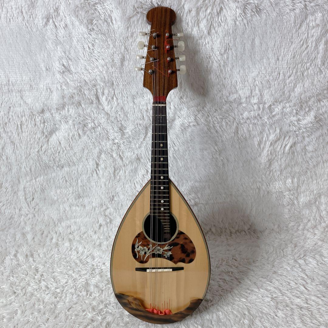 ラファエル・カラーチェ No.26 マンドリン Raffaele Calace