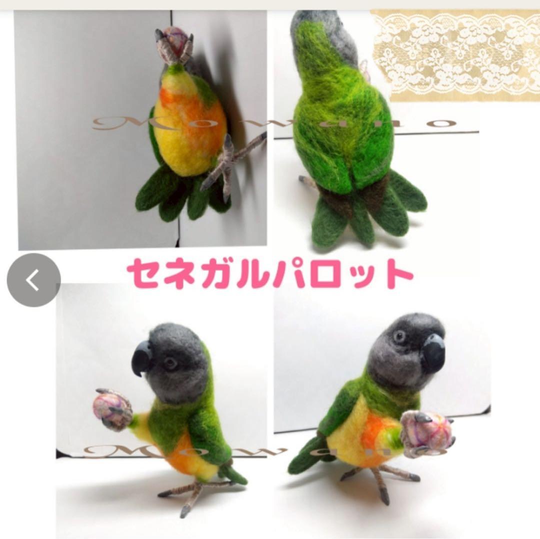 【羊毛フェルト】セネガルパロット　鳥