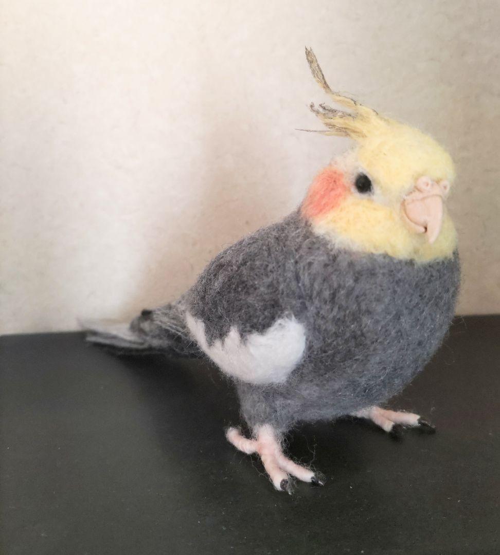 羊毛フェルト オカメインコ ノーマル オス