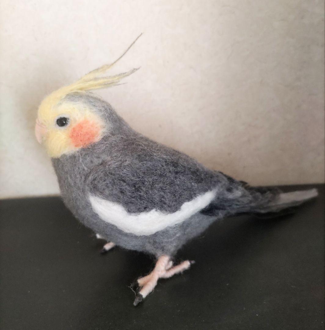 羊毛フェルト オカメインコ ノーマル オス