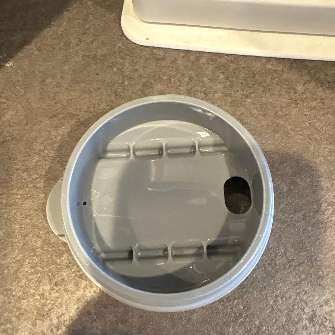 韓国スターバックス SS シグネチャー ウェンディ タンブラー 621ml