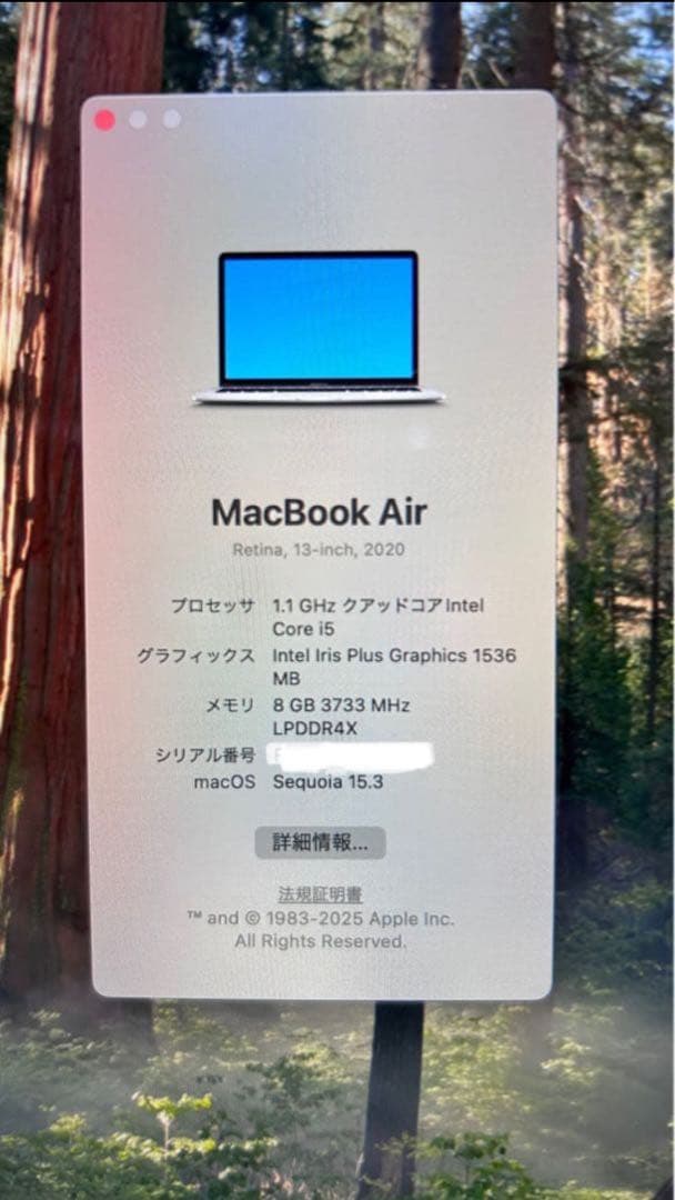 Apple MacBook Air 13-inch (2020) 本体