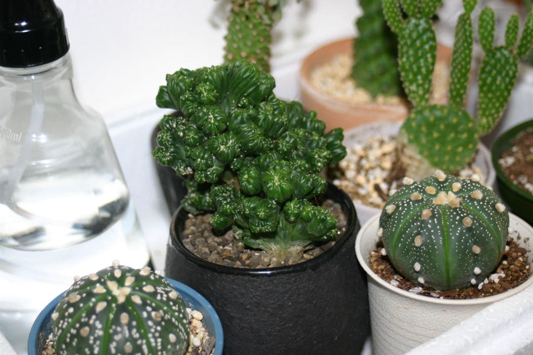 キャノンEOS デジタル一眼レフ レンズ28-80mm付 付属品完備 動作確認済