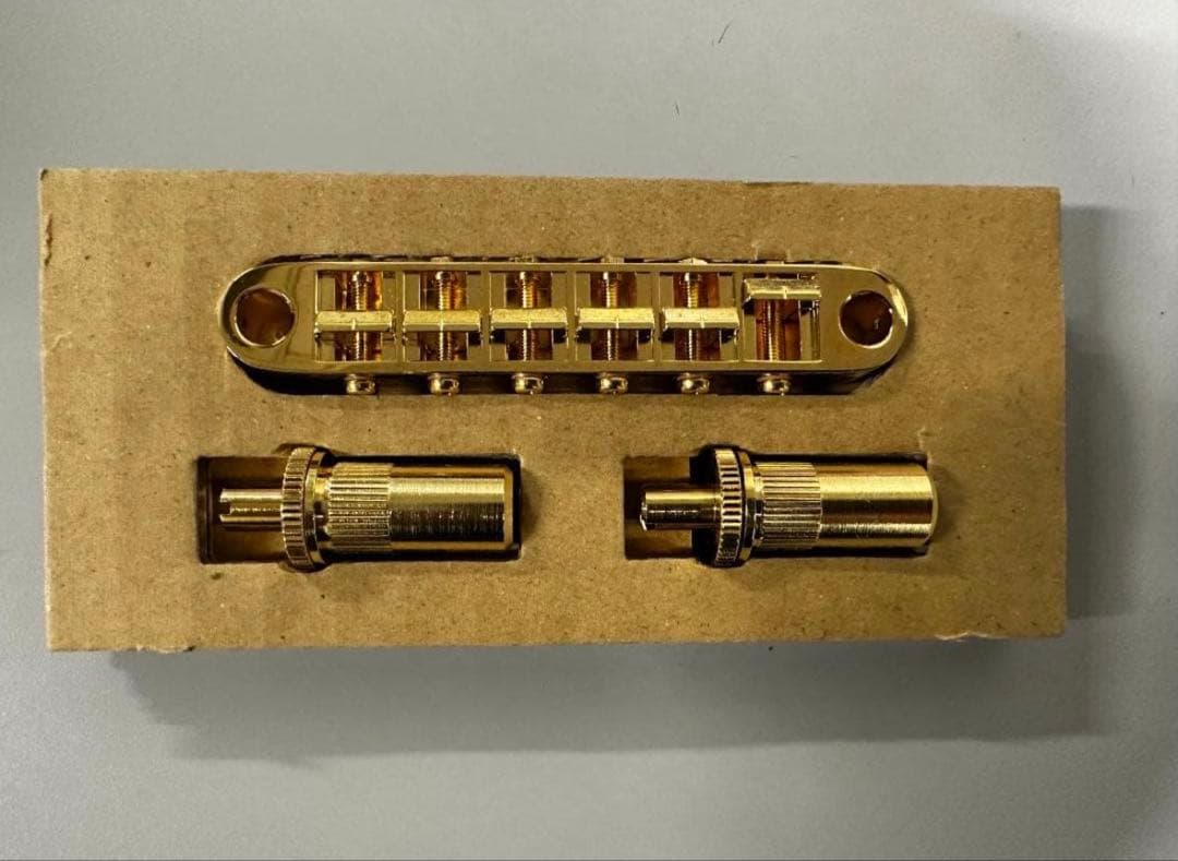 Epiphone コリーナV カスタム多数 Korina Flying V