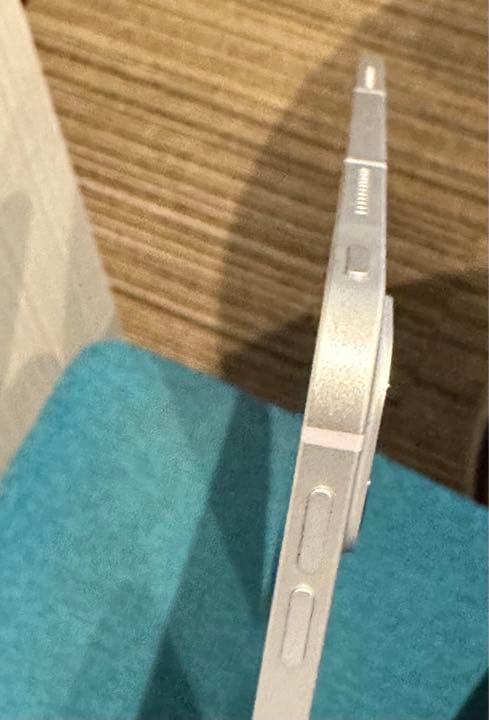 交渉大歓迎 iPad pro 12.9 第5世代 128G セルラー銀色