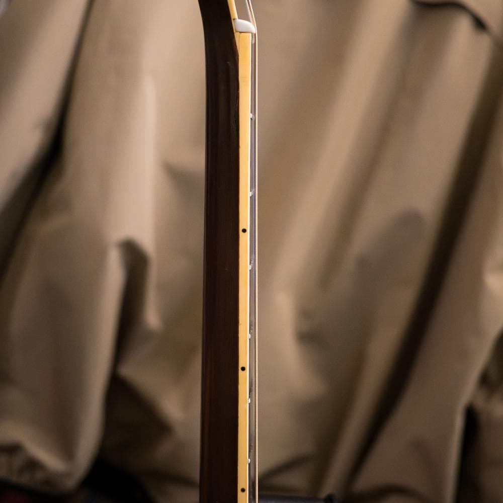 TOKAI cat's eyes CE-320D 1981年 美音