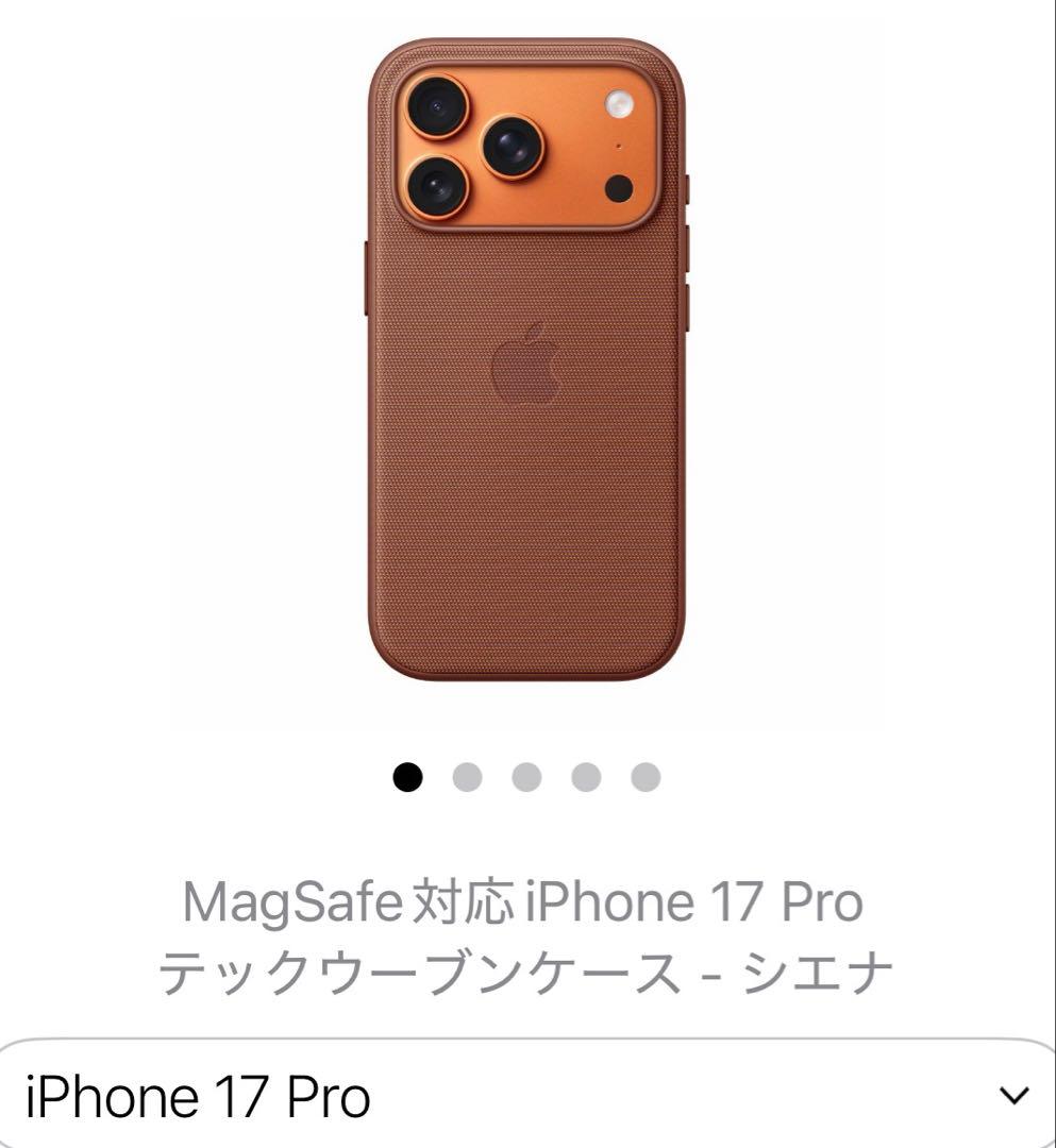 Bigsky 様占用　Apple iPhone 17 Pro テックウー　881