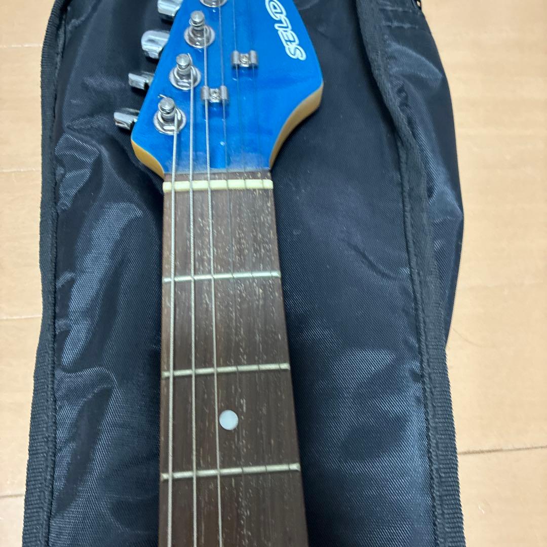 SELDER セルダー　エレキギター　ジャンク