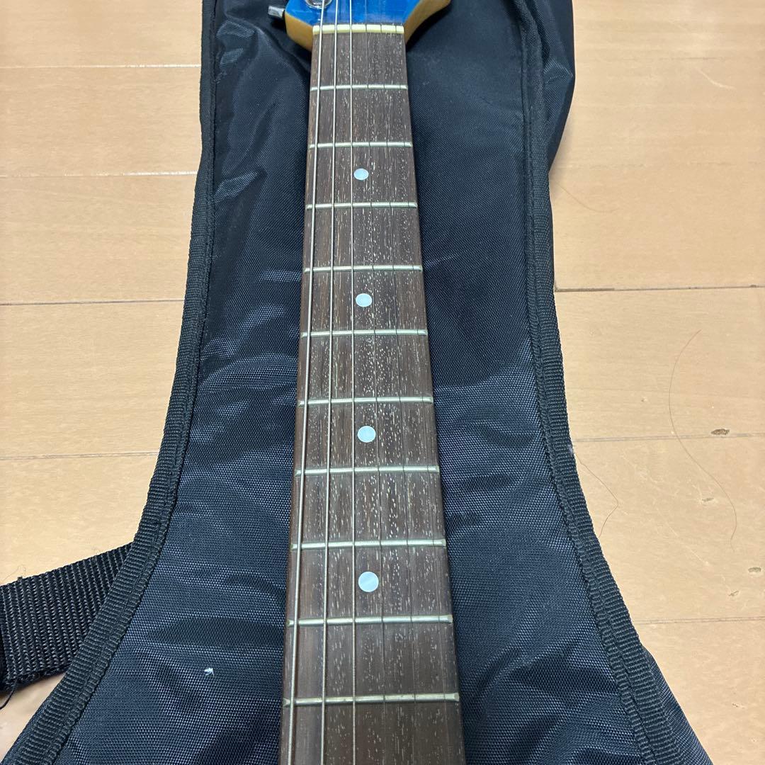 SELDER セルダー　エレキギター　ジャンク