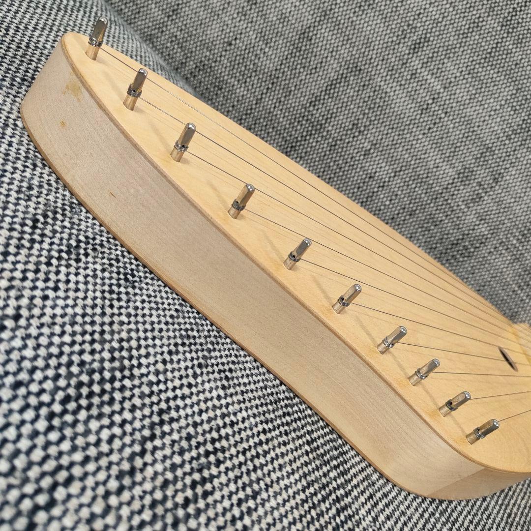 ゲルトナー カンテレ 10弦 W.LOTHAR GARTNER D-7750