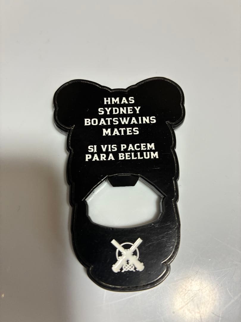 オーストラリア海軍　イージス艦　シドニー　チャレンジ