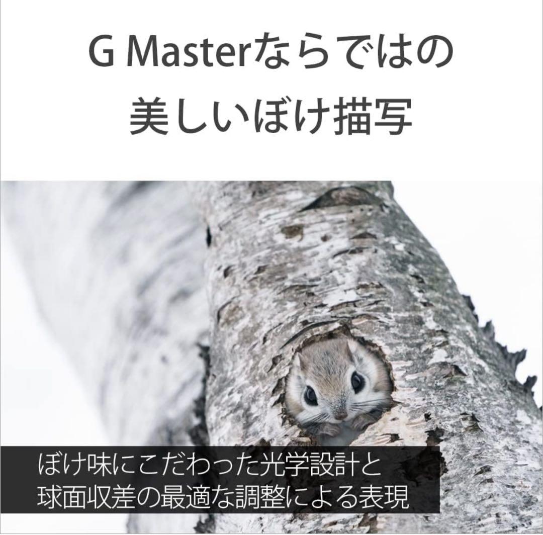 【新品未使用】SONY FE100-400mm F4.5-5.6 GM OSS