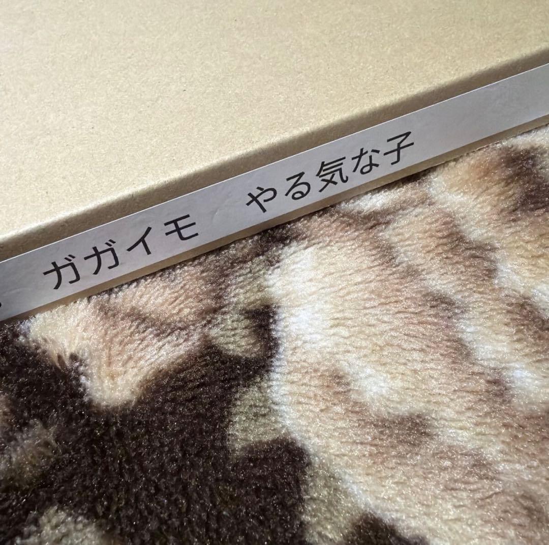 ガガイモ　やる気な子　会場限定1点物　直筆原画　抽選　当選　黒網美人　黒髪