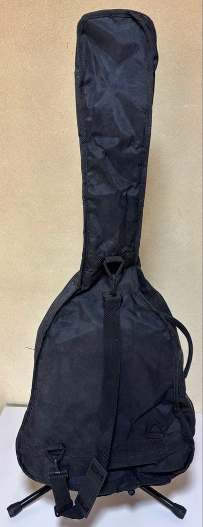 TAKARA アコースティックギター MODEL TR-1 ケース付き