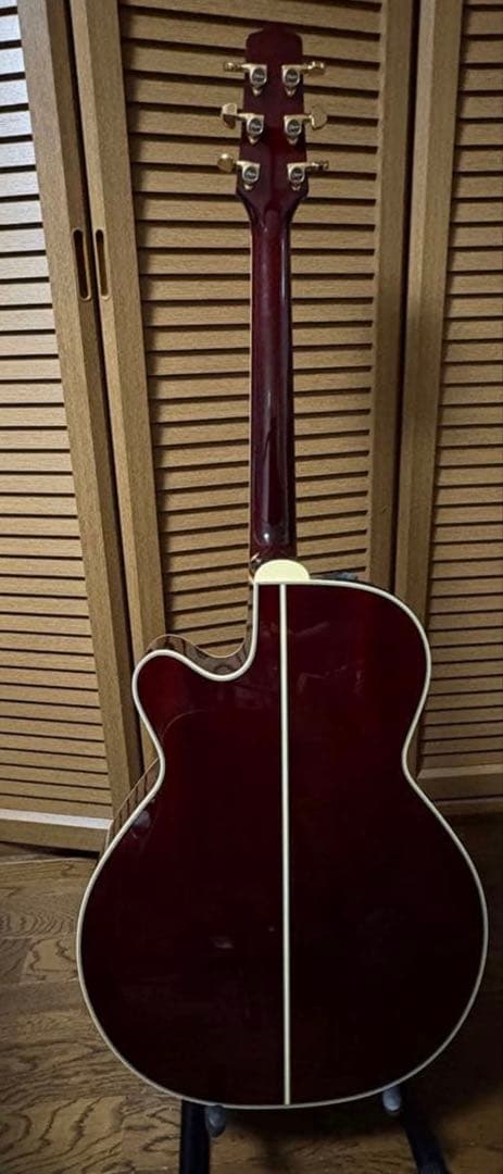 本日限りラスト大幅値下げ！【ほぼ未使用✨】Takamine DMP551C WR