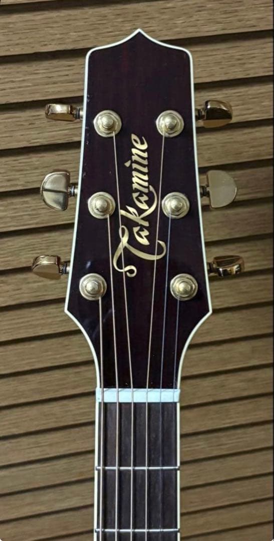 本日限りラスト大幅値下げ！【ほぼ未使用✨】Takamine DMP551C WR