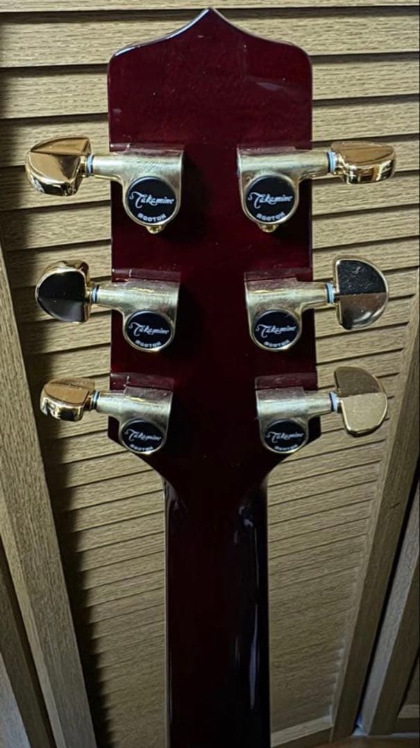 本日限りラスト大幅値下げ！【ほぼ未使用✨】Takamine DMP551C WR