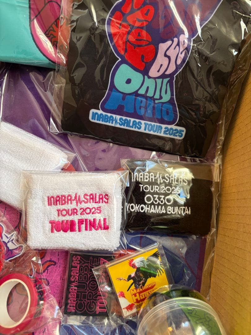 INABA/SALAS TOUR 2025 限定グッズセット