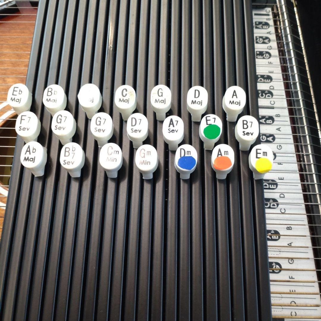 ARIA コードハープ ACH-21E ピックアップ内蔵 専用ケース付　楽器