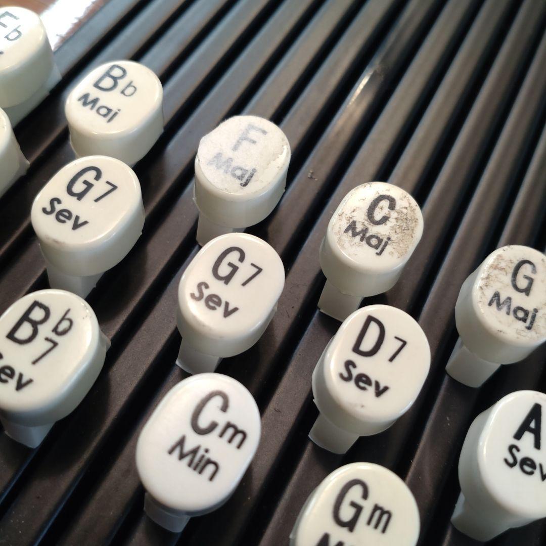 ARIA コードハープ ACH-21E ピックアップ内蔵 専用ケース付　楽器