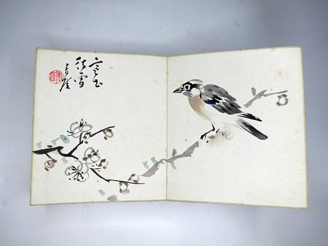 #希少 #画帳 #彩色 #肉筆 #書 #図帳 #日本画 #花鳥 #風景 #和本