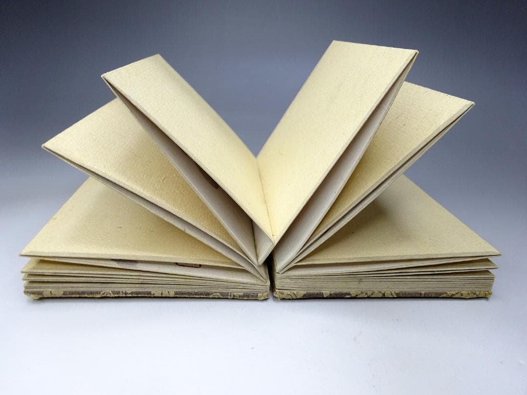 #希少 #画帳 #彩色 #肉筆 #書 #図帳 #日本画 #花鳥 #風景 #和本