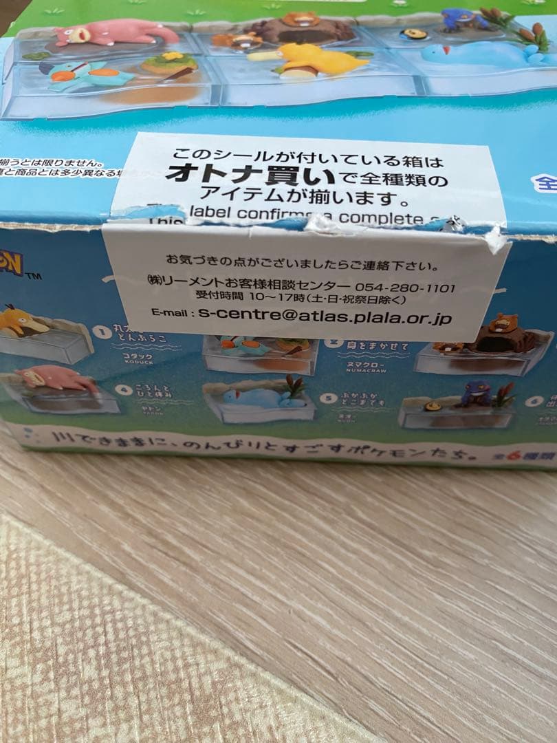 ポケモン　のんびりタイム　川でひとやすみ　リーメント　コンプリート