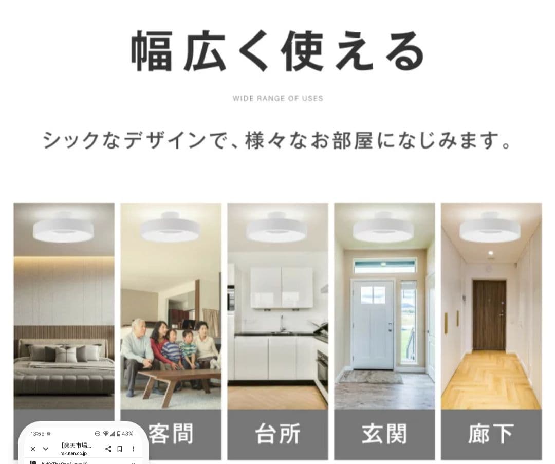 しかこ[新品未開封]