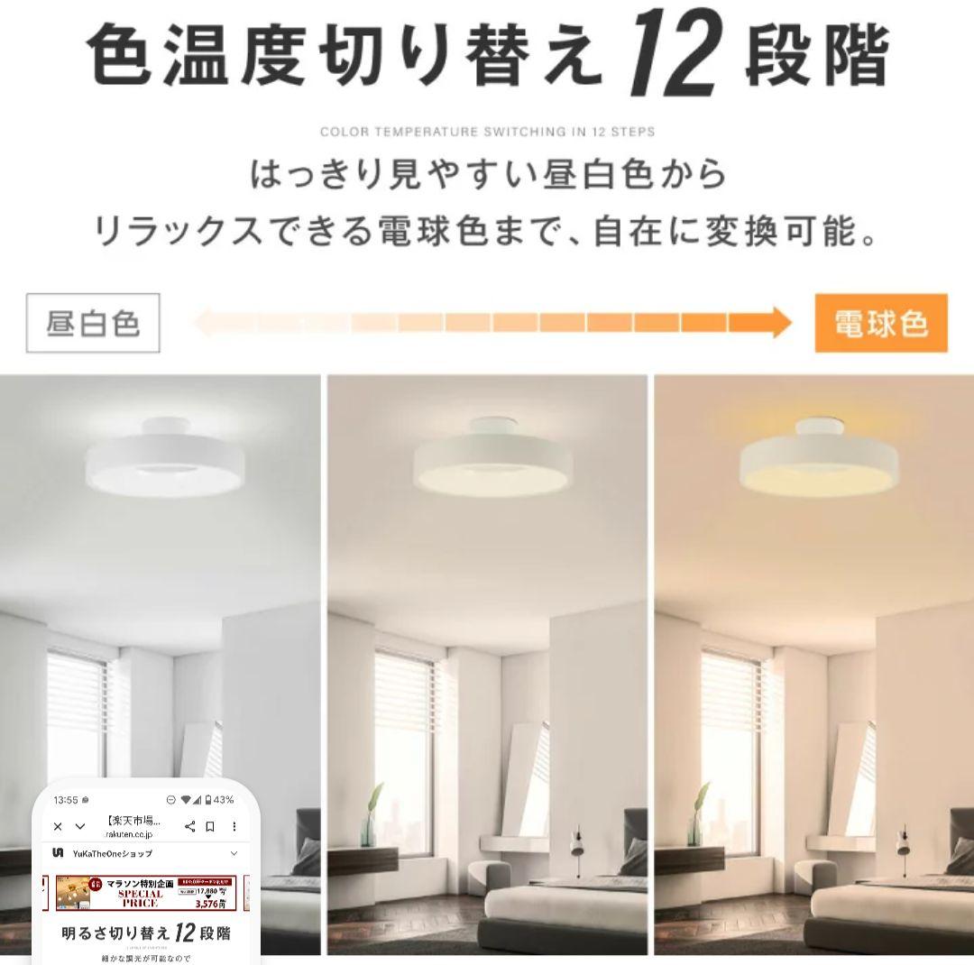 しかこ[新品未開封]