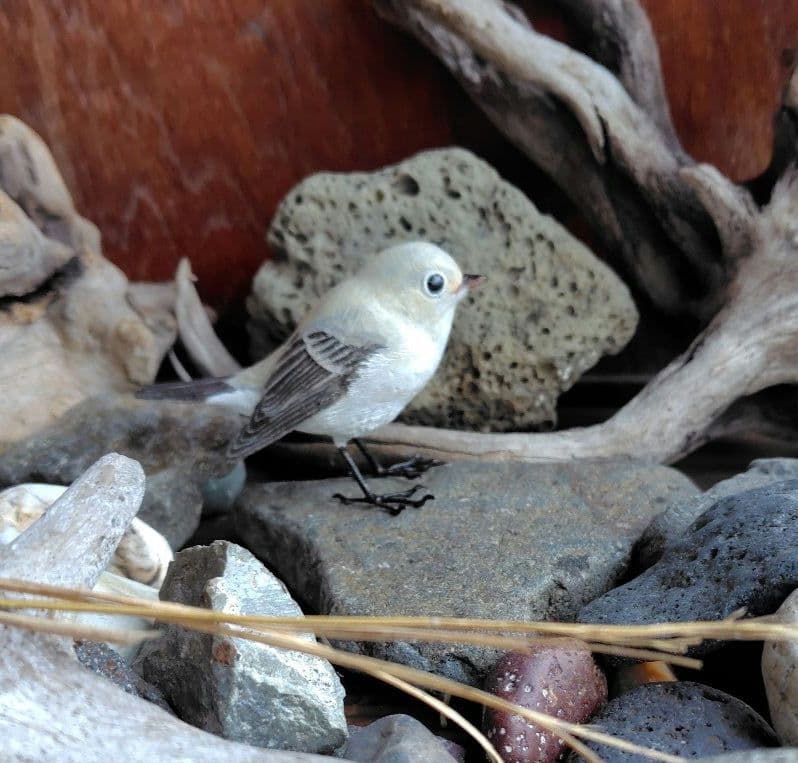 小さなバードカービング ニシオジロビタキ 野鳥 木彫り