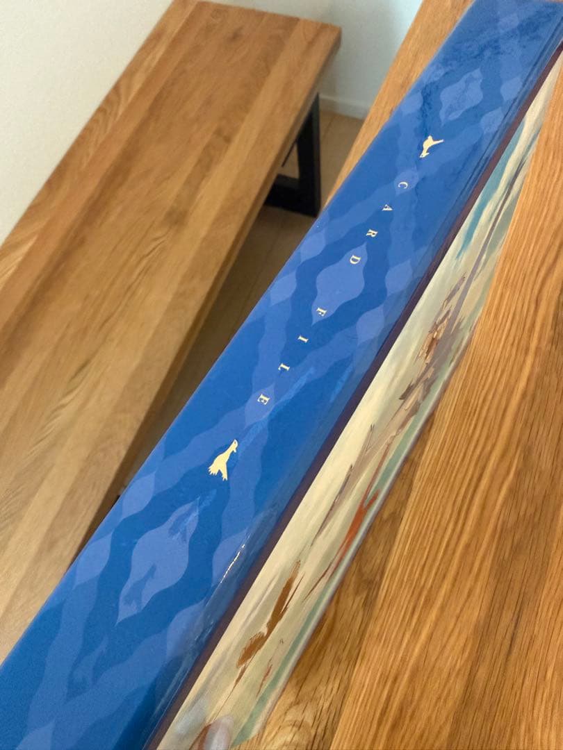 ポケモン カードファイル