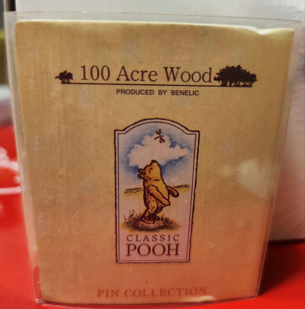 ディズニー　ウィニー・ザ・プー 100エーカーの森 ピンコレクション　5個セット