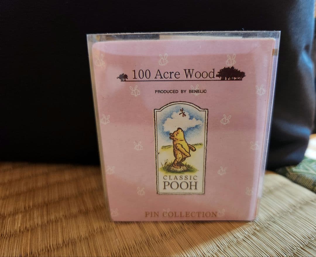 ディズニー　ウィニー・ザ・プー 100エーカーの森 ピンコレクション　5個セット