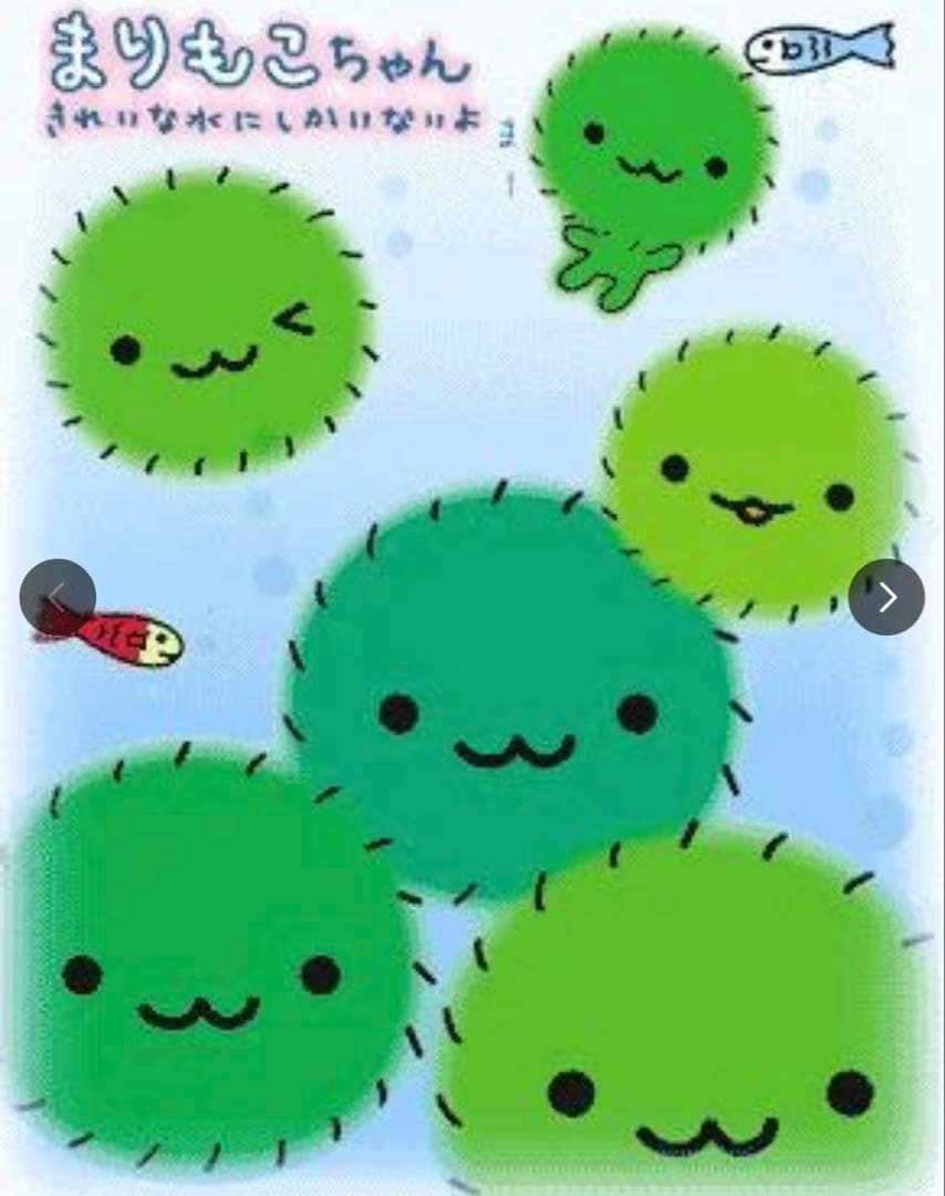 [レア]まりもこちゃん　キーホルダー　san-x　現在販売なし