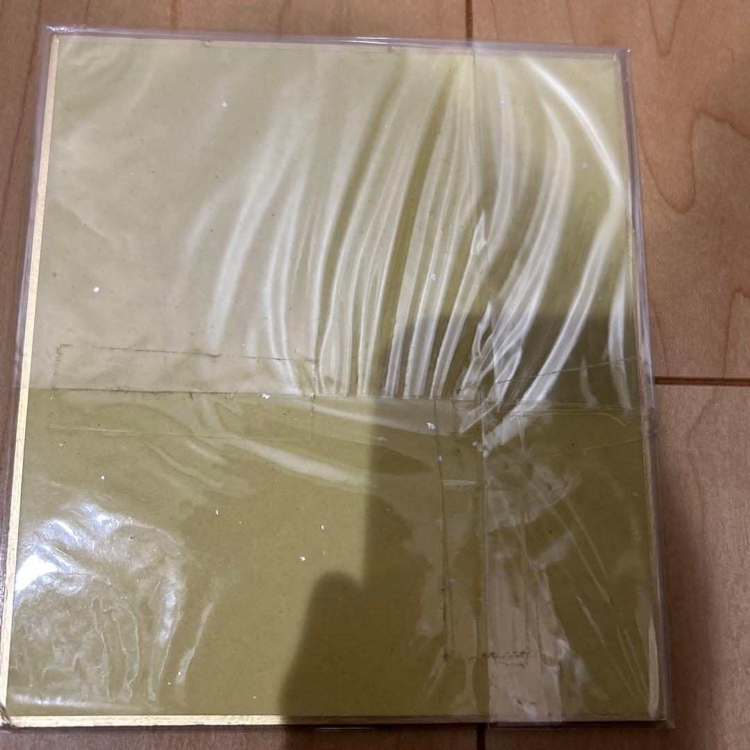 ポケモン　色紙ART 12枚 まとめ売り