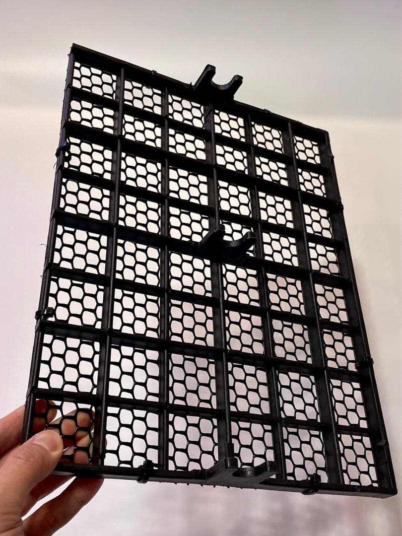 【goul4711】P.Banna #A ビカクシダ