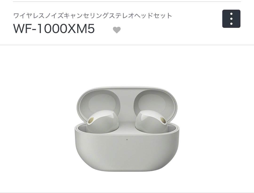 SONY WF-1000XM5 両耳