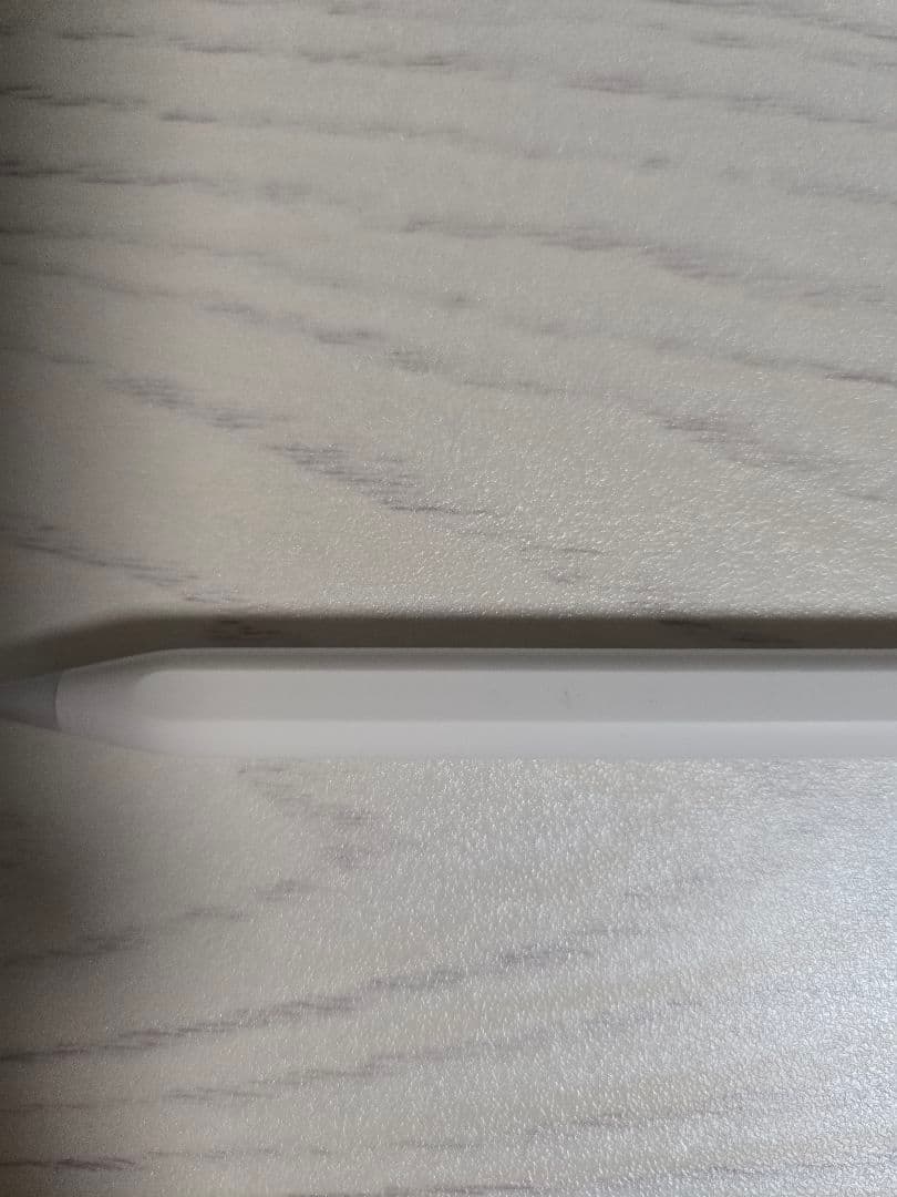 【即日配送】Apple Pencil Pro ホワイト 純正品