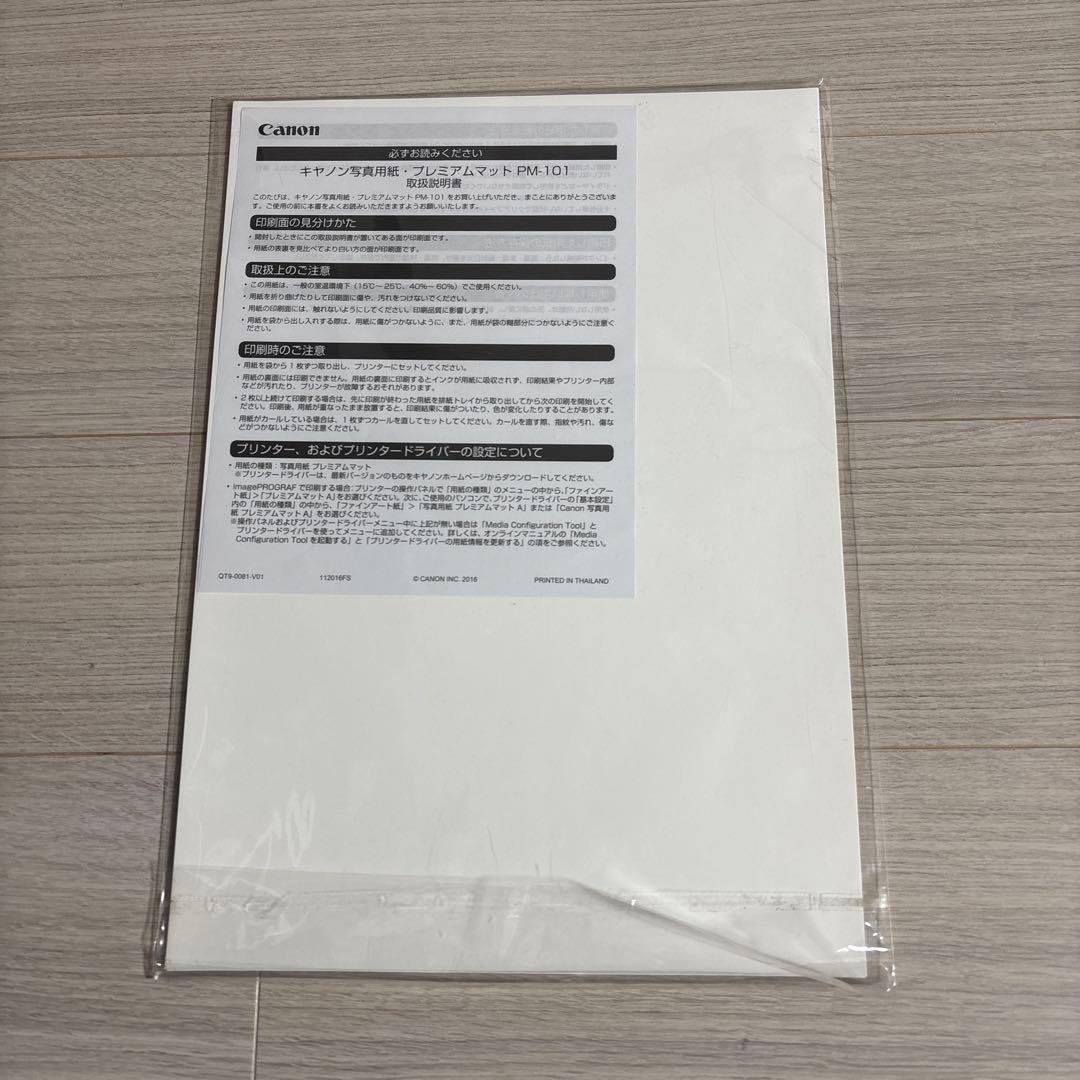 Canon PRO-G1 本体　美品