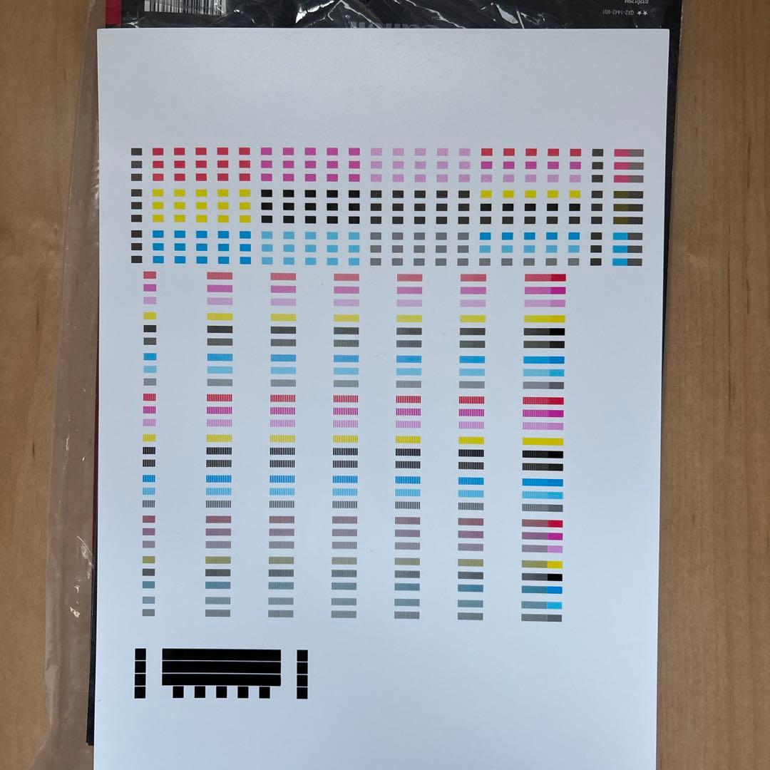 Canon PRO-G1 本体　美品