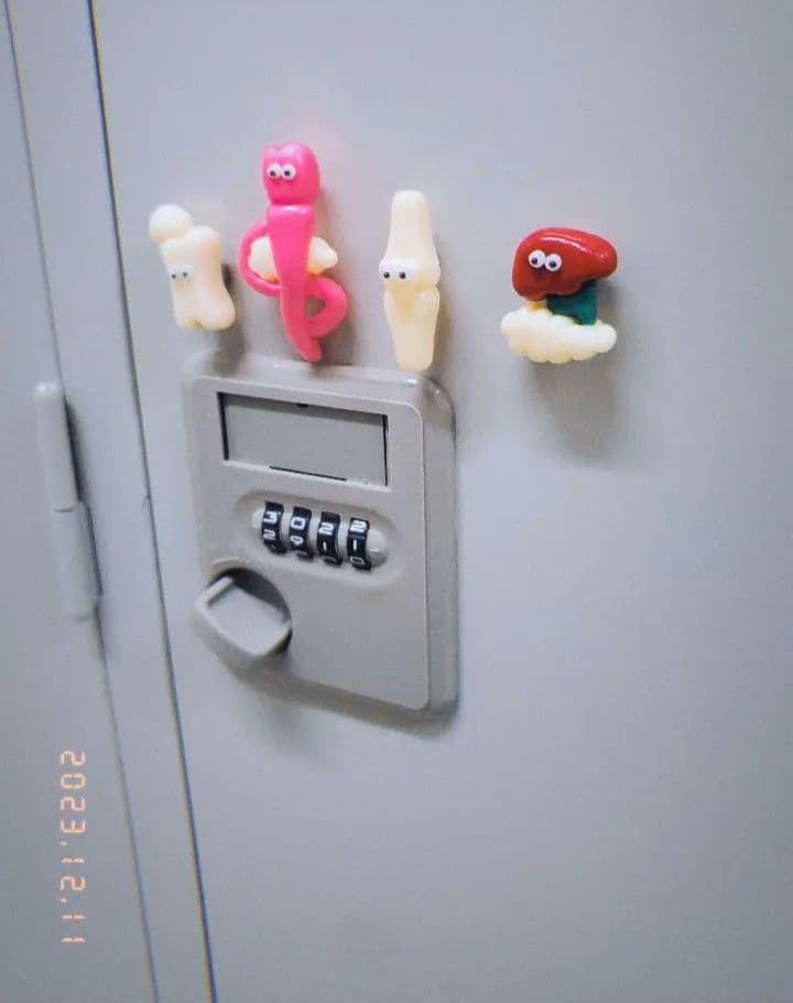 臓器　マグネット　ハンドメイド
